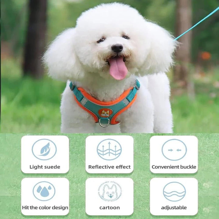 Reflective Dog Harness – Comfortable Nylon Harness for Walking - Pawtique