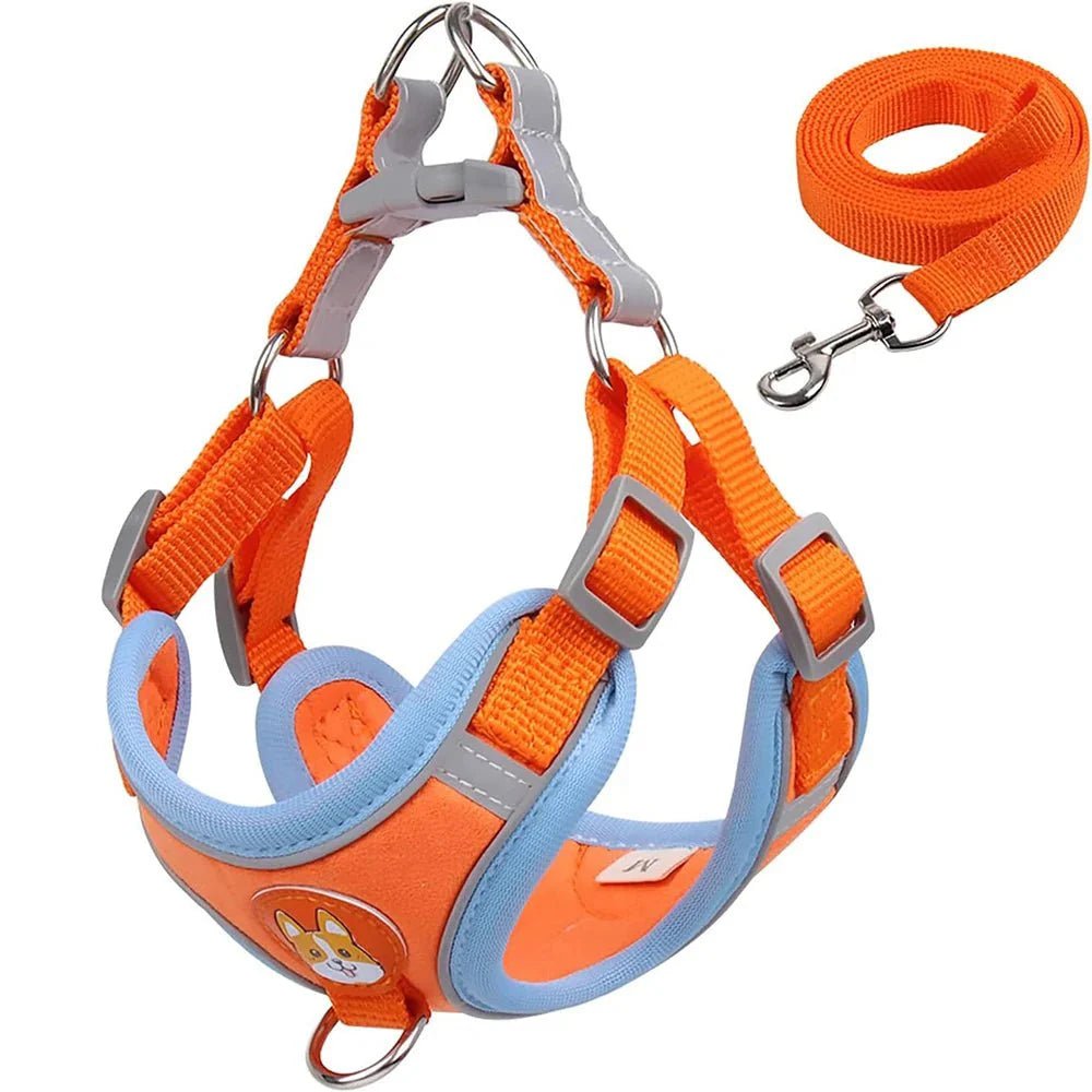 Reflective Dog Harness – Comfortable Nylon Harness for Walking - Pawtique