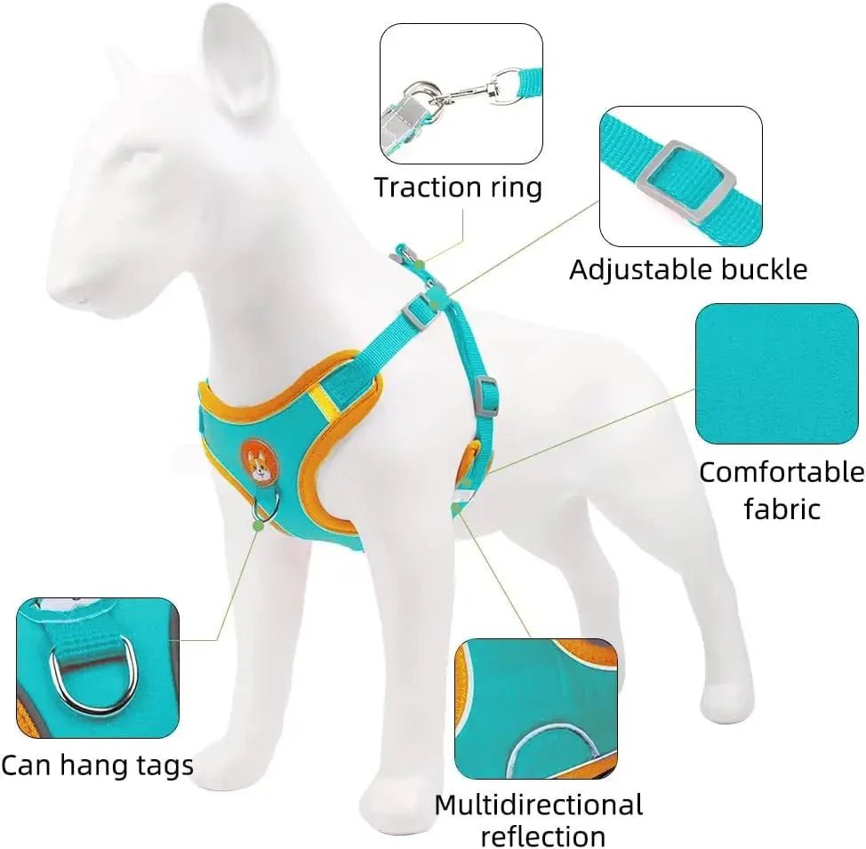 Reflective Dog Harness – Comfortable Nylon Harness for Walking - Pawtique