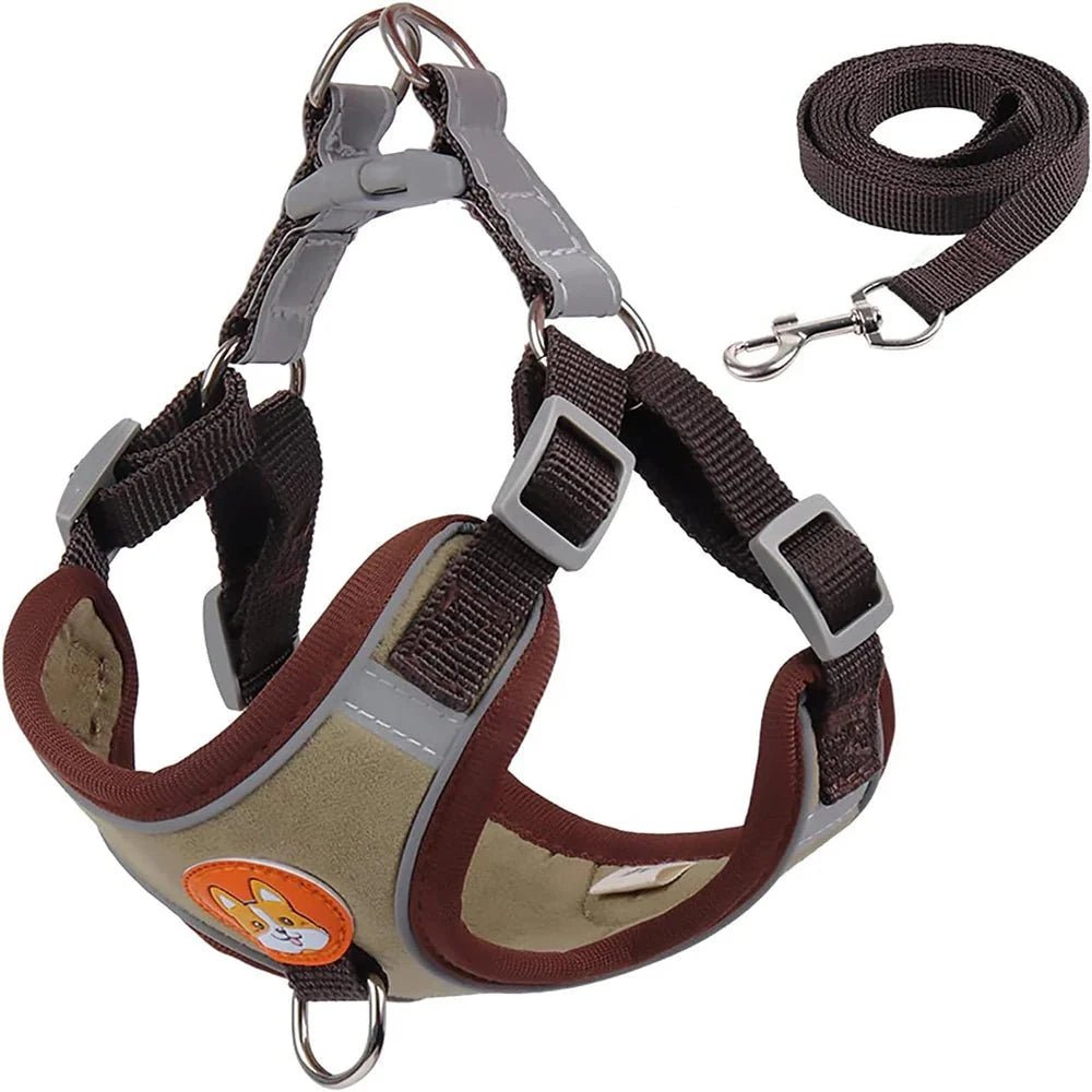 Reflective Dog Harness – Comfortable Nylon Harness for Walking - Pawtique