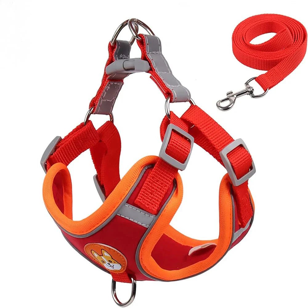Reflective Dog Harness – Comfortable Nylon Harness for Walking - Pawtique