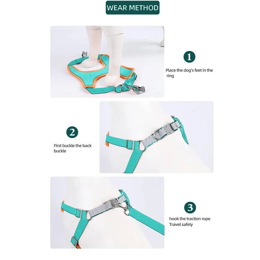 Reflective Dog Harness – Comfortable Nylon Harness for Walking - Pawtique