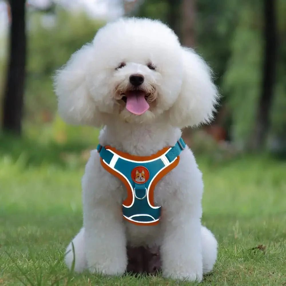Reflective Dog Harness – Comfortable Nylon Harness for Walking - Pawtique