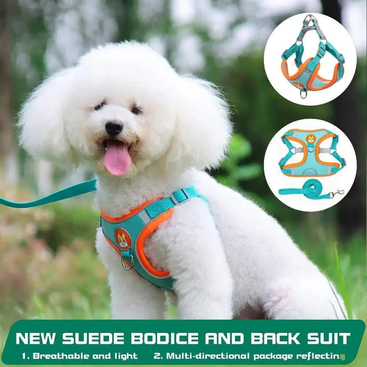 Reflective Dog Harness – Comfortable Nylon Harness for Walking - Pawtique