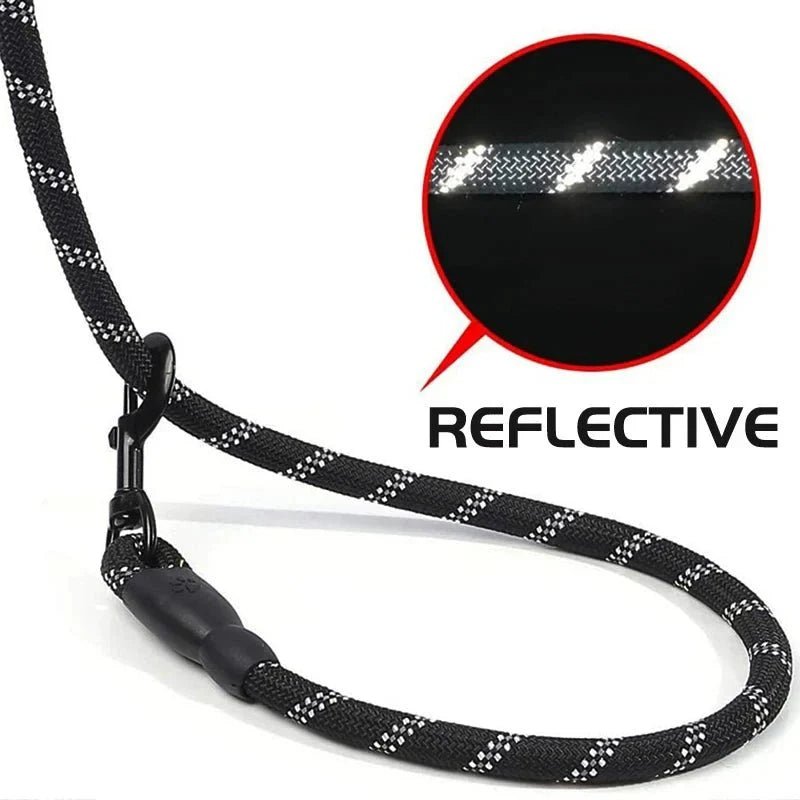 Reflective Dog Leash – Comfort &amp; Control - Pawtique