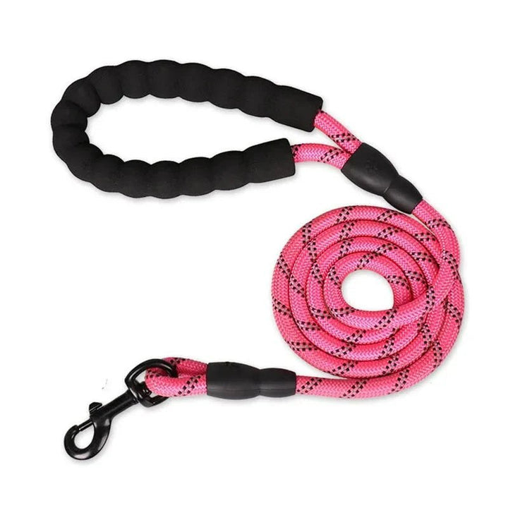 Reflective Dog Leash – Comfort &amp; Control - Pawtique