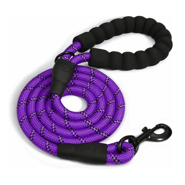 Reflective Dog Leash – Comfort &amp; Control - Pawtique
