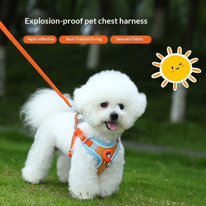 Reflective No Pull Dog Harness - Pawtique
