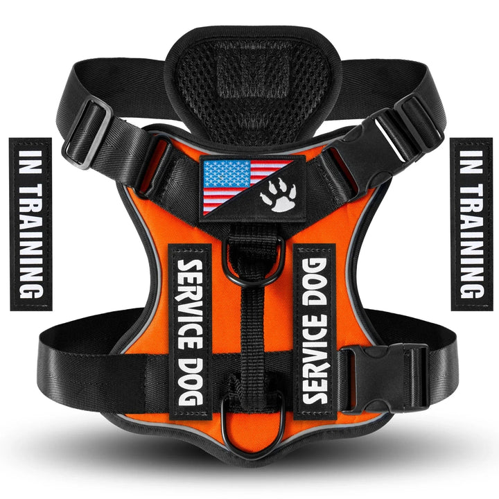 Reflective Service Dog Harness – Adjustable &amp; Comfortable - Pawtique