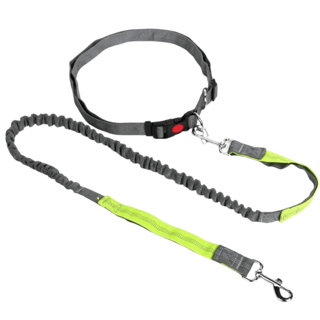 Retractable Hip Belt – Hands - Free Leash - Pawtique