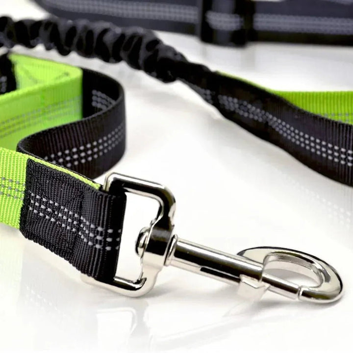 Retractable Hip Belt – Hands - Free Leash - Pawtique