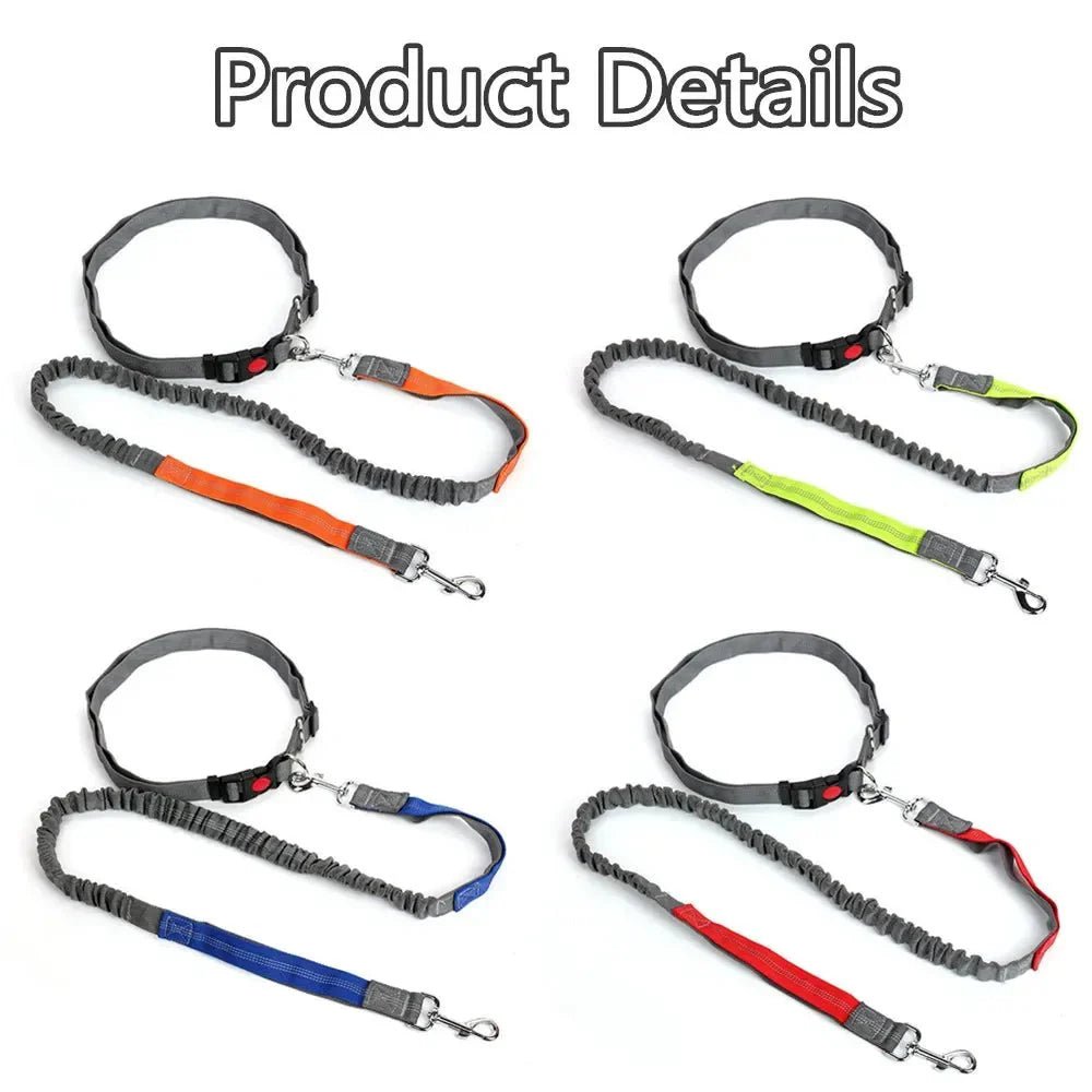 Retractable Hip Belt – Hands - Free Leash - Pawtique