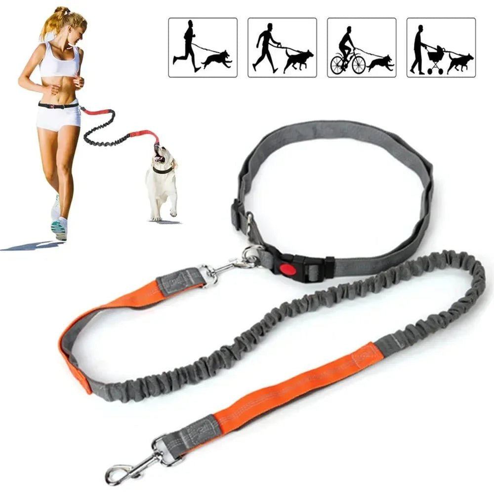Retractable Hip Belt – Hands - Free Leash - Pawtique