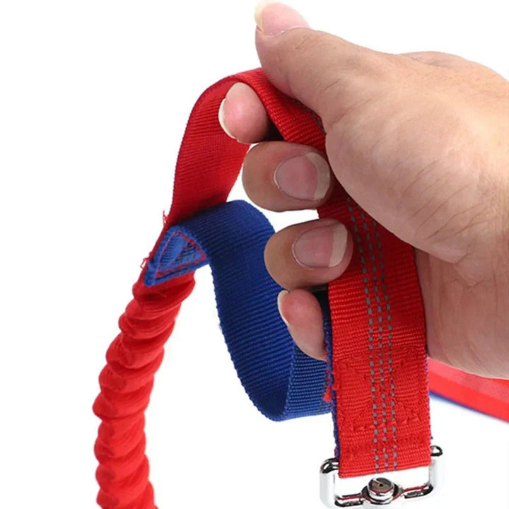Retractable Hip Belt – Hands - Free Leash - Pawtique