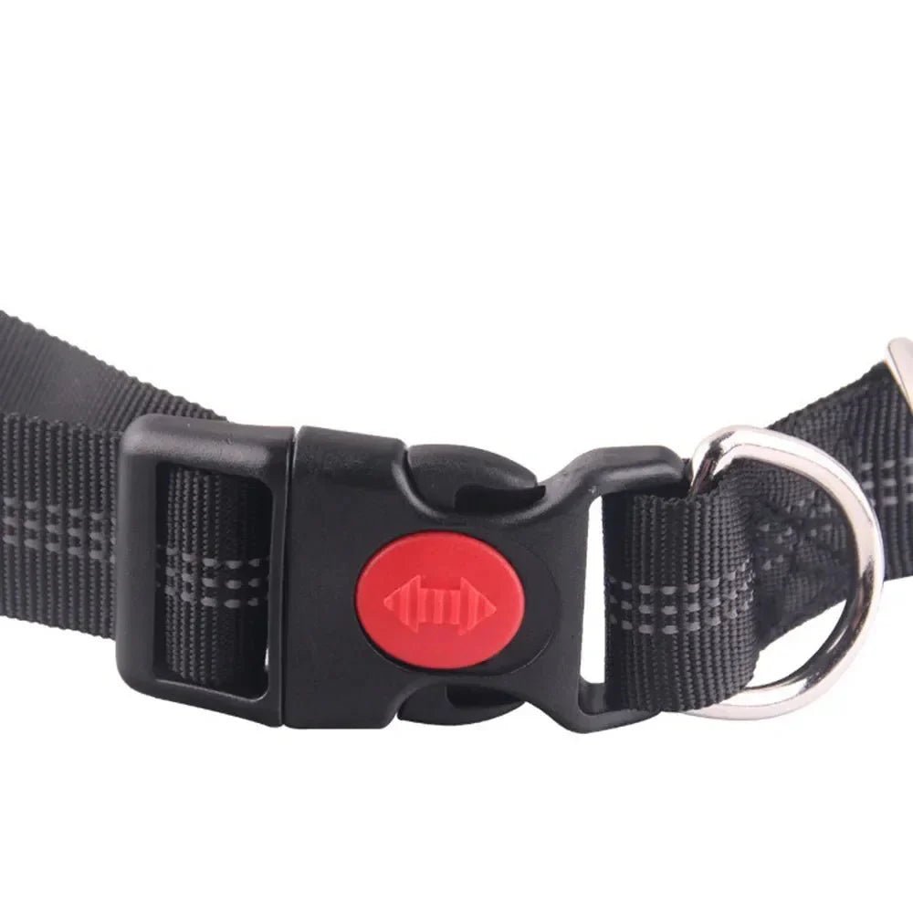 Retractable Hip Belt – Hands - Free Leash - Pawtique