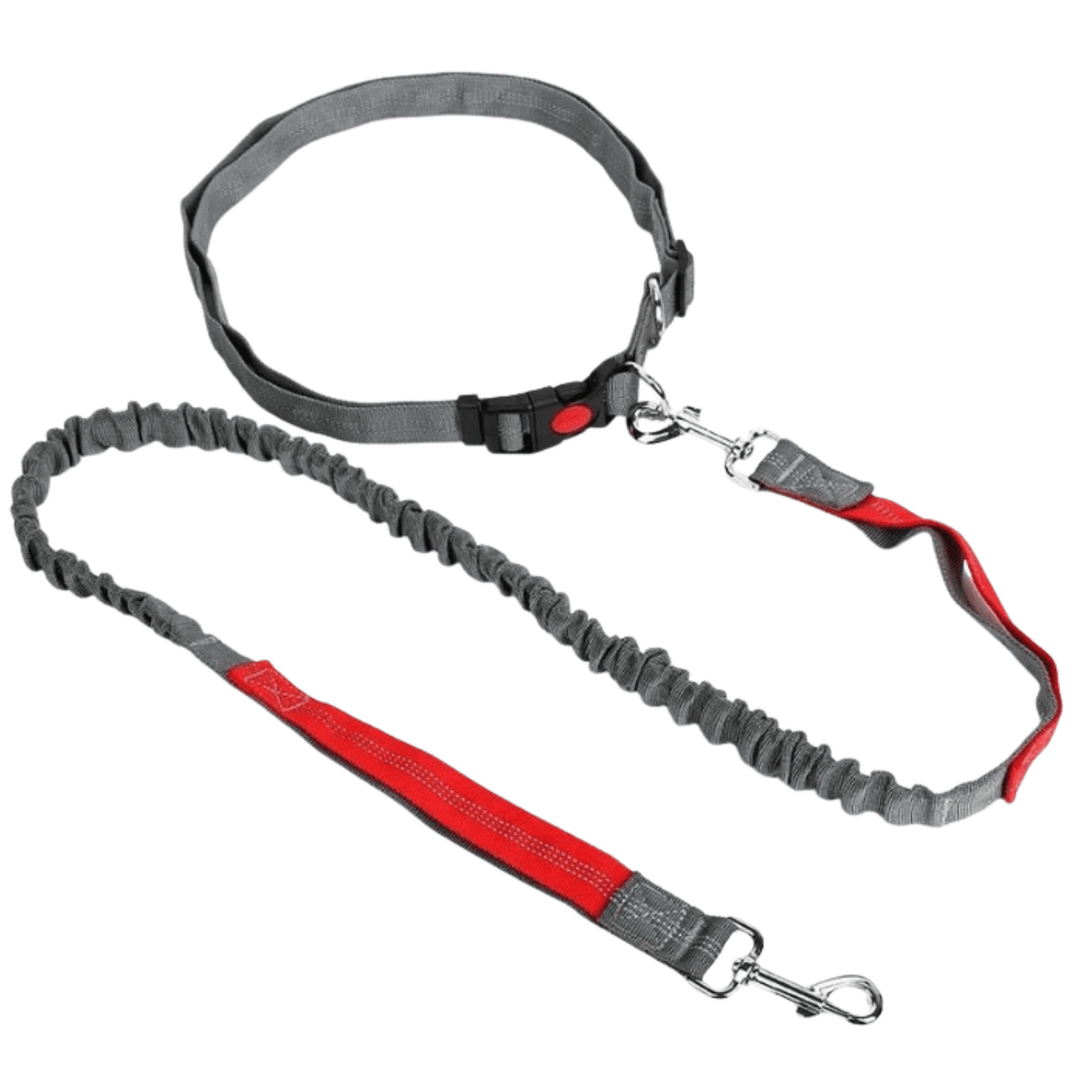 Retractable Hip Belt – Hands - Free Leash - Pawtique