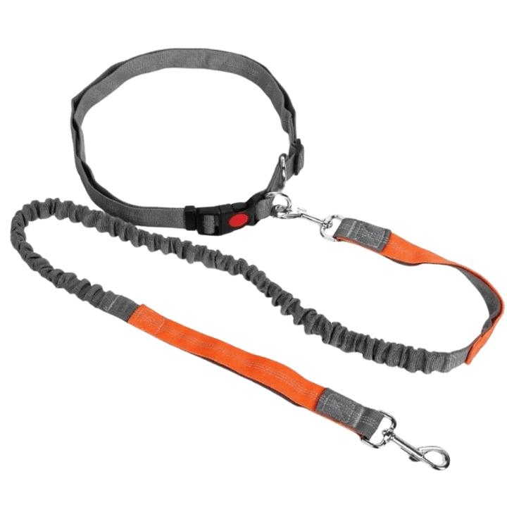 Retractable Hip Belt – Hands - Free Leash - Pawtique