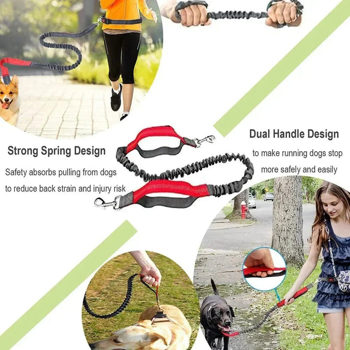 Retractable Hip Belt – Hands - Free Leash - Pawtique