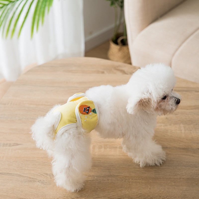Reusable Dog Diaper Pants - Pawtique