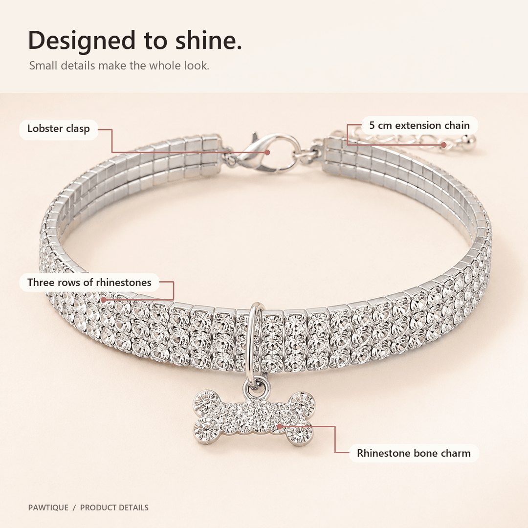 Rhinestone Bone Charm Collar - Pawtique