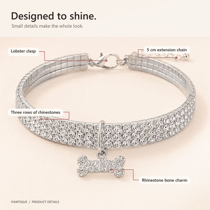 Rhinestone Bone Charm Collar - Pawtique
