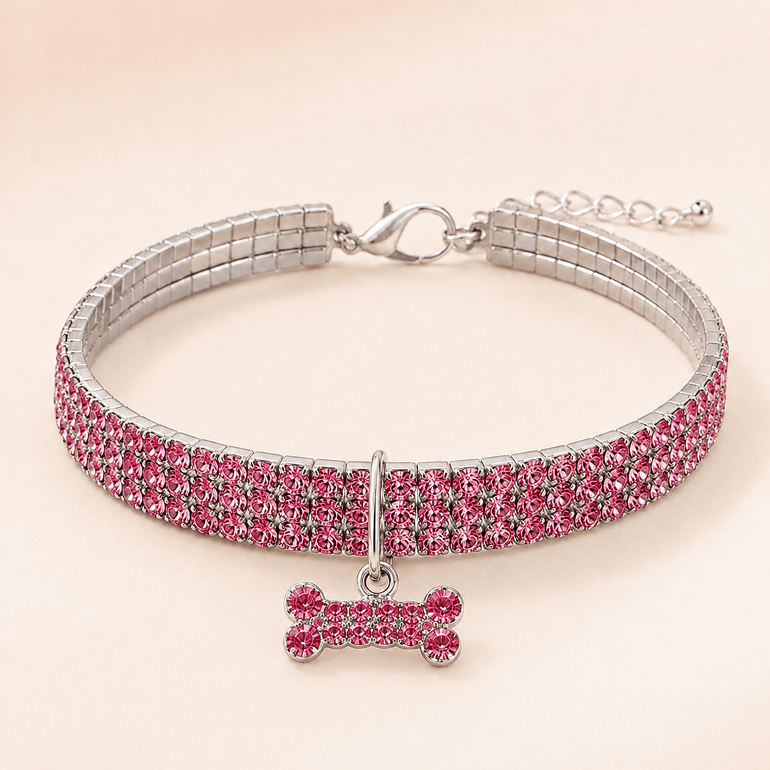 Rhinestone Bone Charm Collar - Pawtique