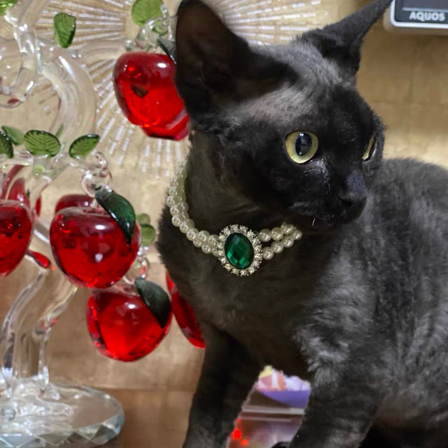 Rhinestone Jeweled Pet Necklace - Pawtique