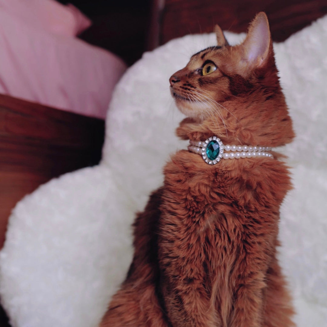 Rhinestone Jeweled Pet Necklace - Pawtique