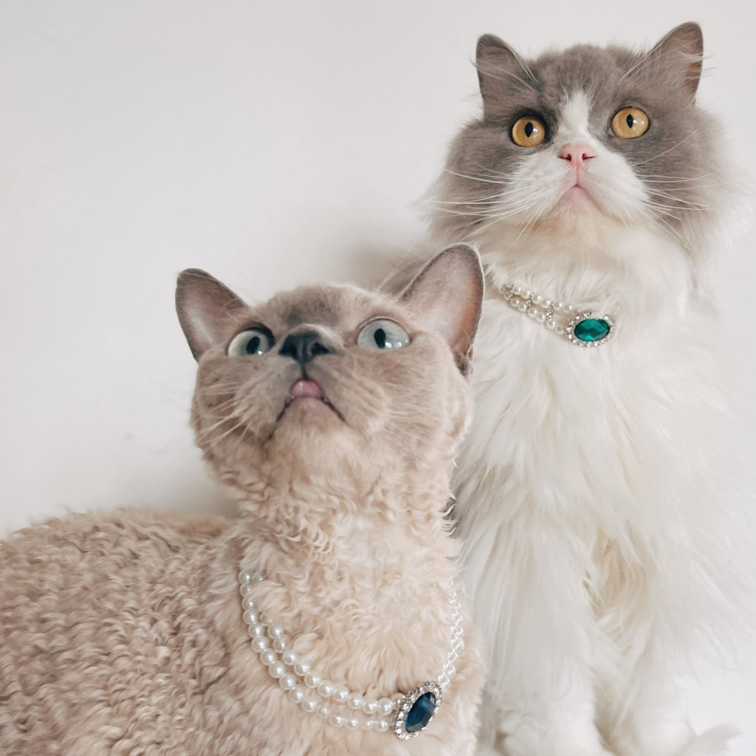 Rhinestone Jeweled Pet Necklace - Pawtique
