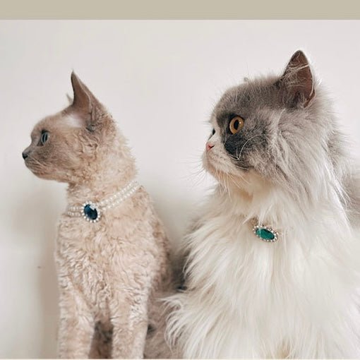 Rhinestone Jeweled Pet Necklace - Pawtique
