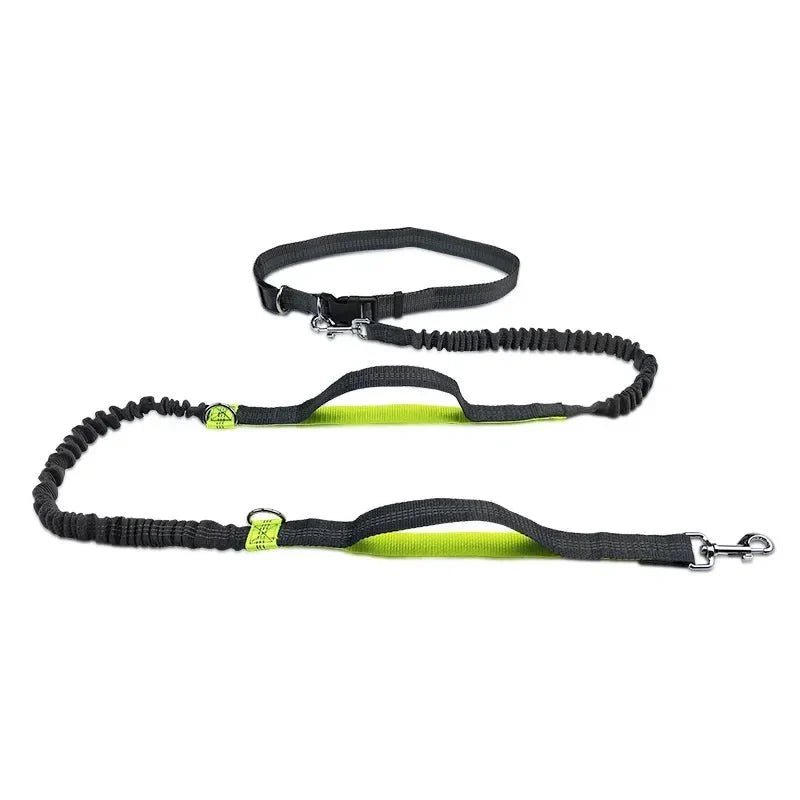 RunPaw Hands - Free Retractable Dog Leash - Pawtique