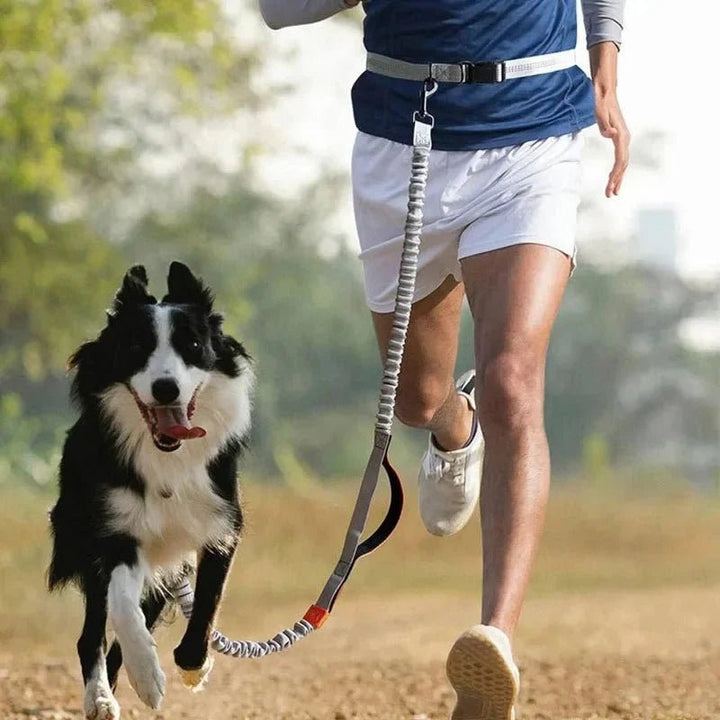 RunPaw Hands - Free Retractable Dog Leash - Pawtique