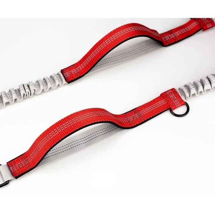 RunPaw Hands - Free Retractable Dog Leash - Pawtique