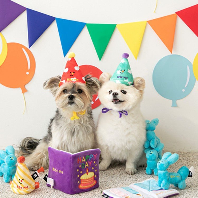 SET - 3Pcs nteractive Pet Birthday Gift: Scent, Hide, Play with Toys, and Slow Feed for Cats and Dogs - Pawtique