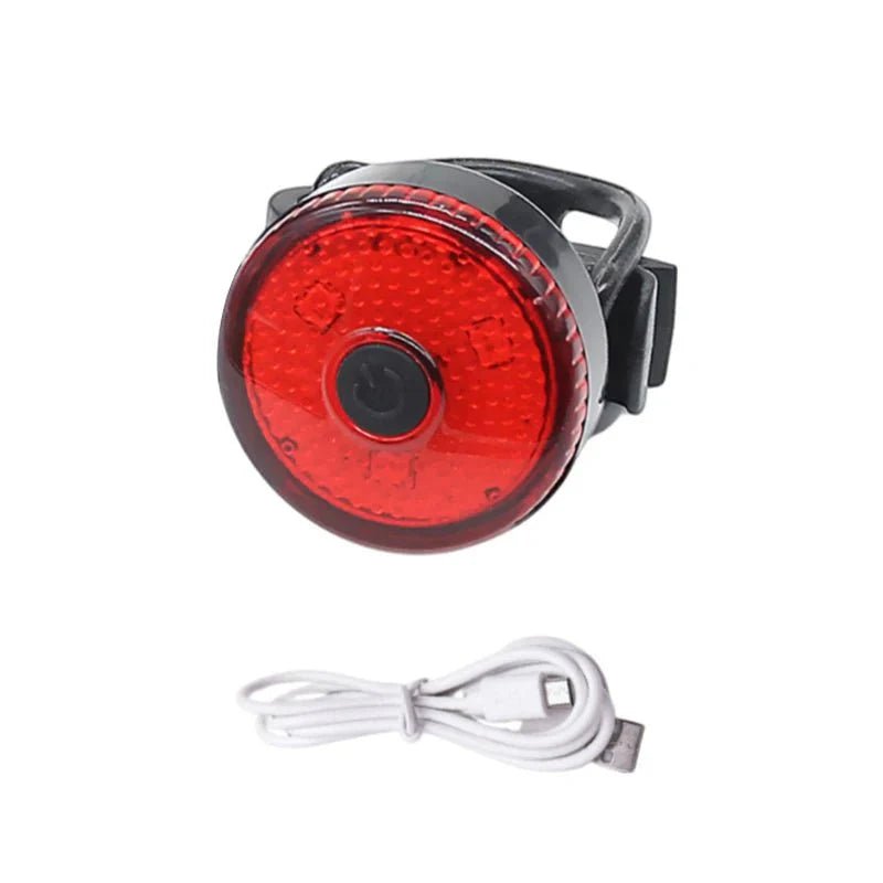 ShinePet LED Collar Pendant Rechargeable - Pawtique