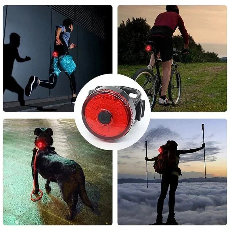 ShinePet LED Collar Pendant Rechargeable - Pawtique