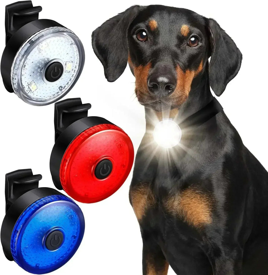 ShinePet LED Collar Pendant Rechargeable - Pawtique