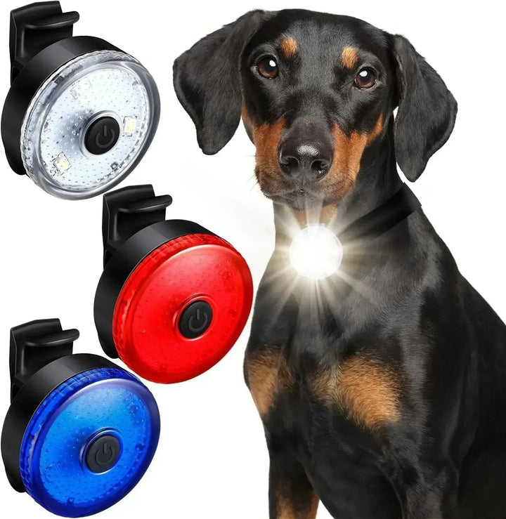 ShinePet LED Collar Pendant Rechargeable - Pawtique
