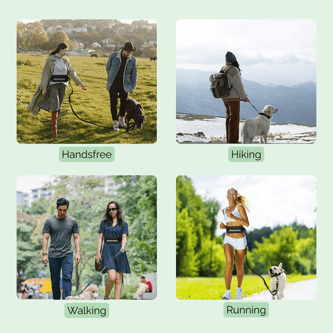Shock Absorbing Belt - Handsfree - Pawtique