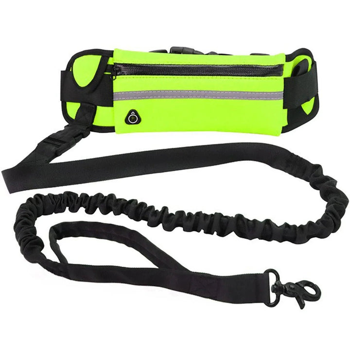 Shock Absorbing Belt - Handsfree - Pawtique