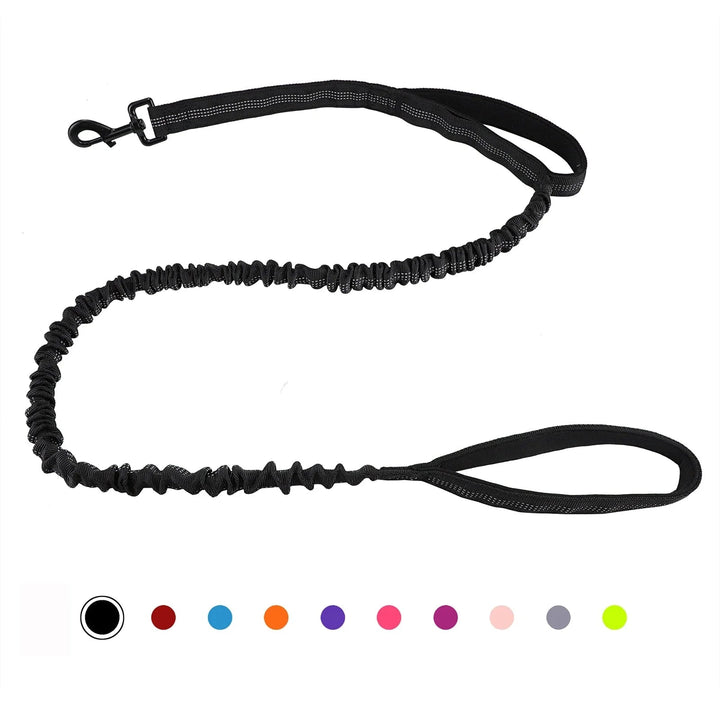 Shock Absorbing Line - Anti Pull - Pawtique