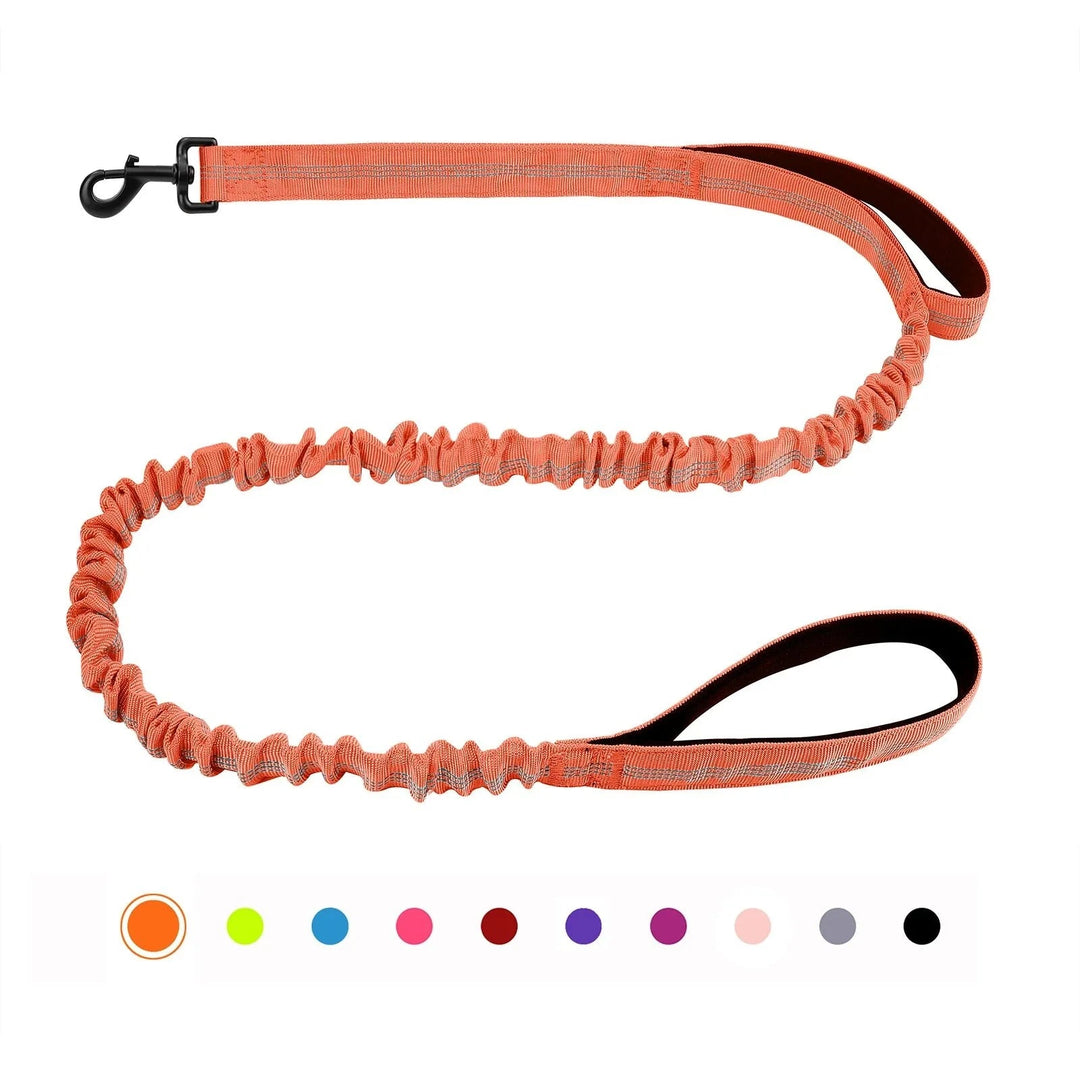 Shock Absorbing Line - Anti Pull - Pawtique