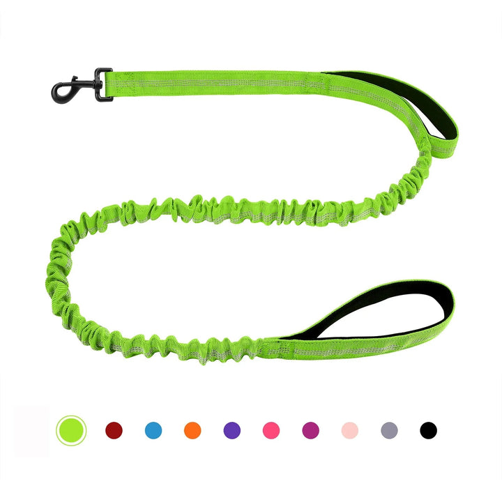 Shock Absorbing Line - Anti Pull - Pawtique