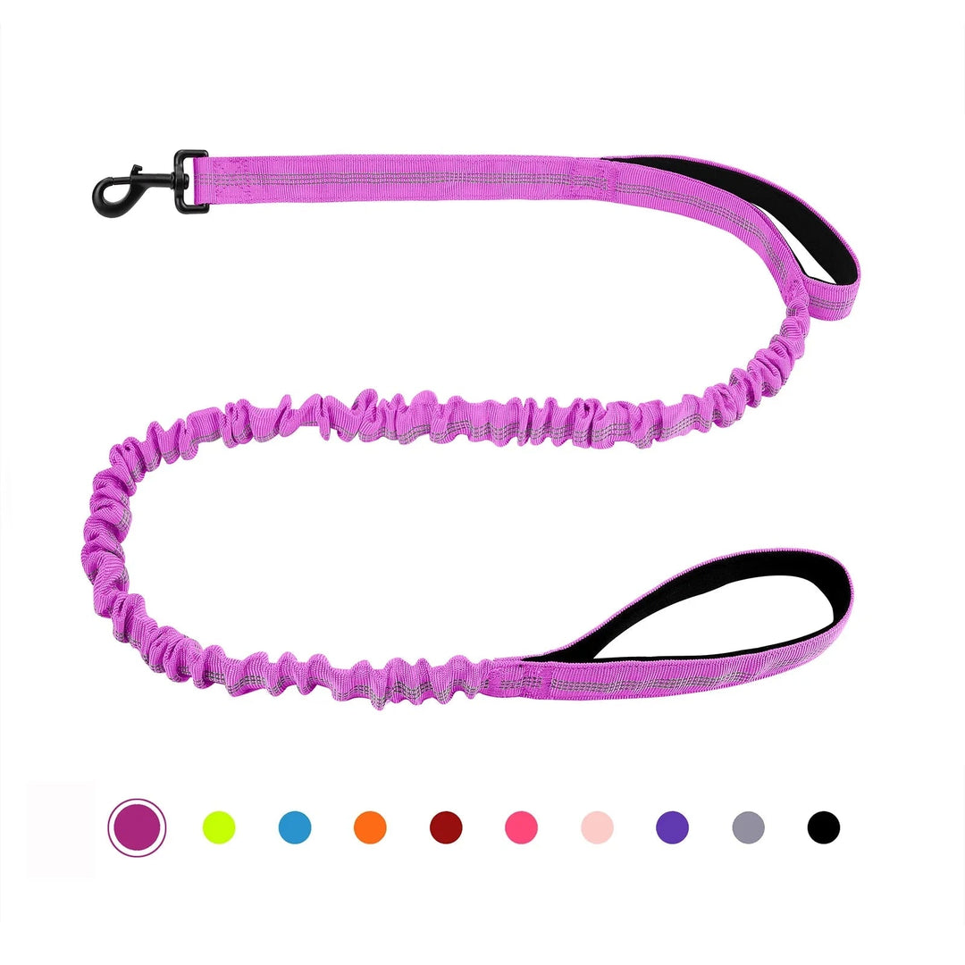 Shock Absorbing Line - Anti Pull - Pawtique