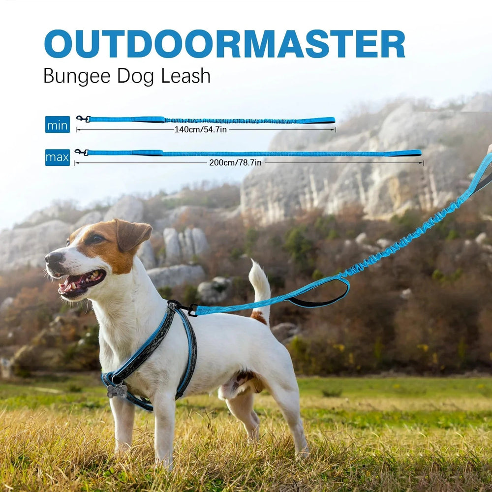 Shock Absorbing Line - Anti Pull - Pawtique