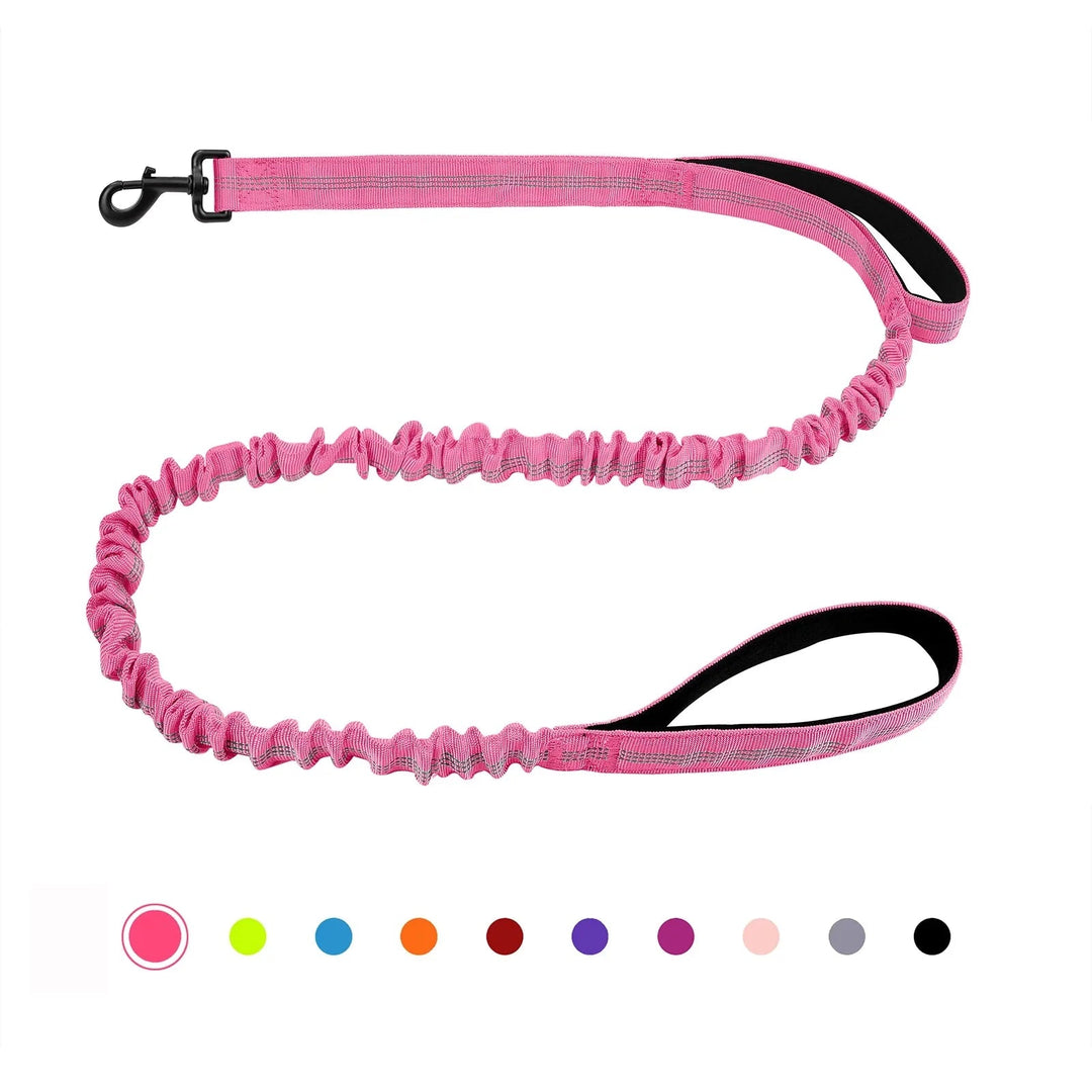 Shock Absorbing Line - Anti Pull - Pawtique