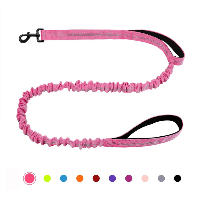 Shock Absorbing Line - Anti Pull - Pawtique