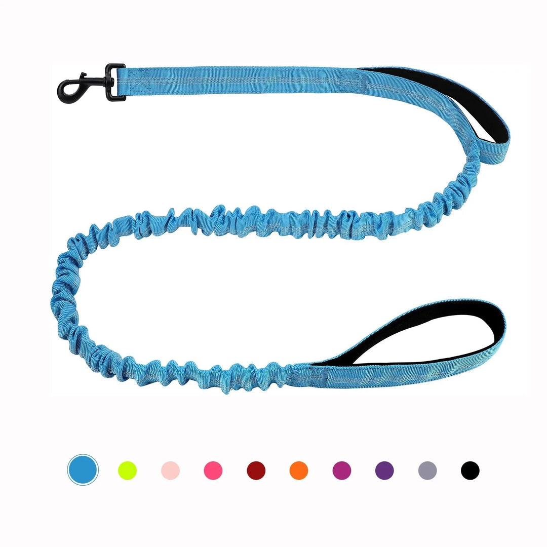 Shock Absorbing Line - Anti Pull - Pawtique