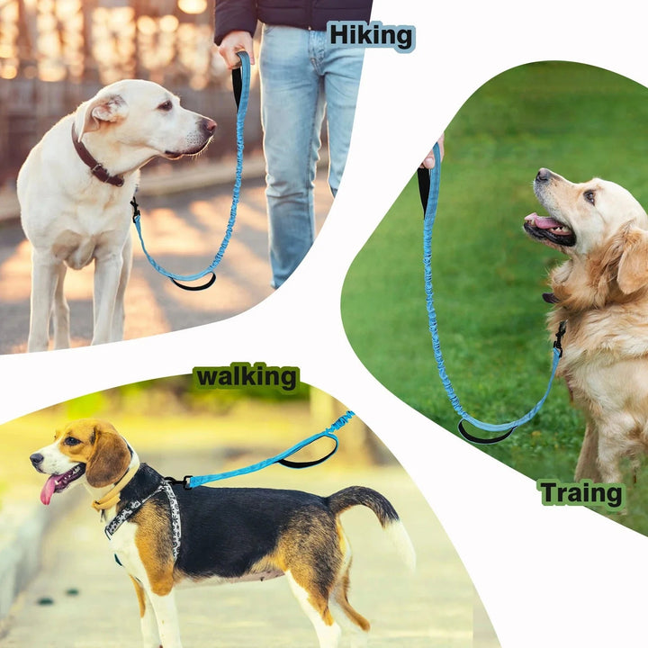 Shock Absorbing Line - Anti Pull - Pawtique