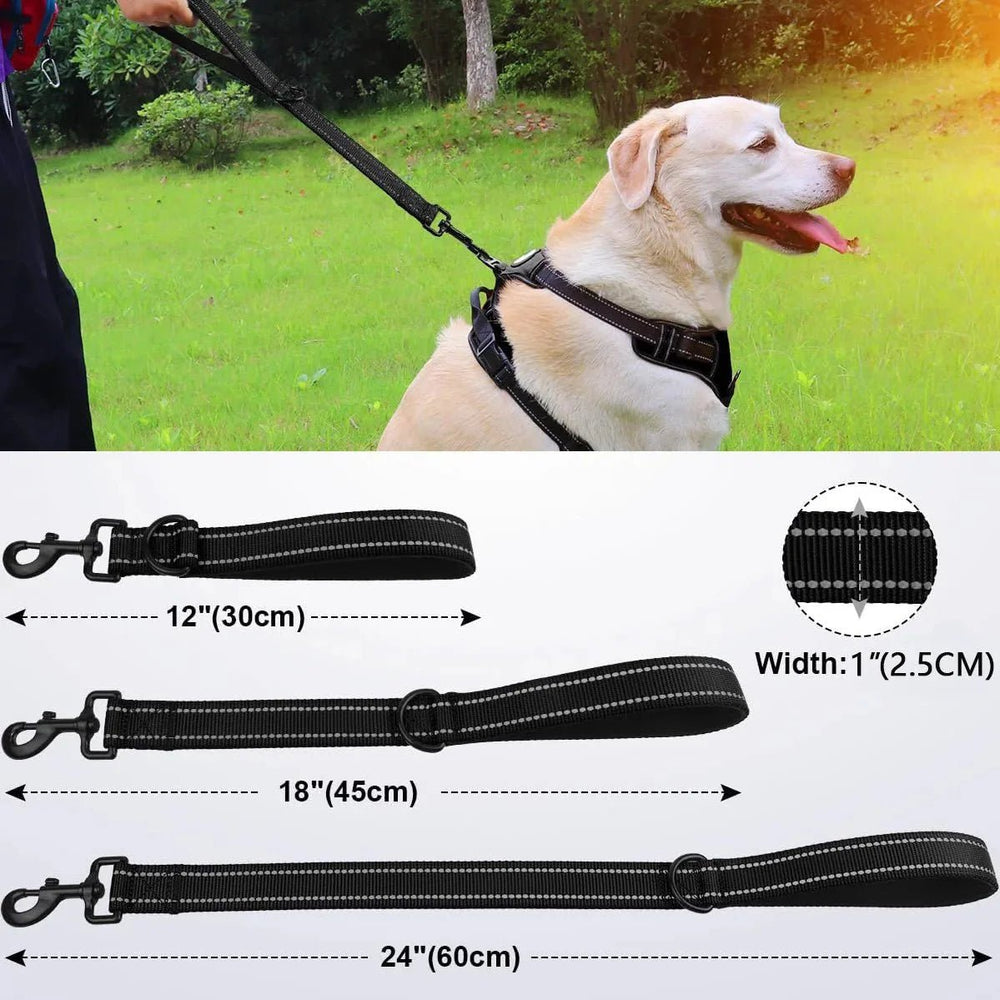 Short Dog Leash with Padded Handle - Pawtique
